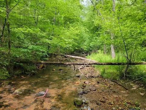 Tbd4 Shortcut Rd, Woolwine, VA 24185 photo 12