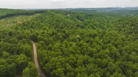 Tbd4 Shortcut Rd, Woolwine, VA 24185 photo 15