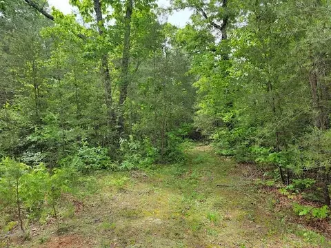 Tbd4 Shortcut Rd, Woolwine, VA 24185 photo 3
