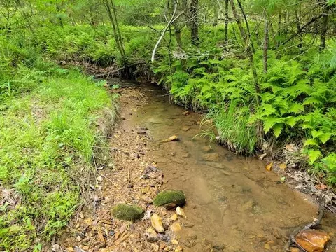 Tbd4 Shortcut Rd, Woolwine, VA 24185 photo 8