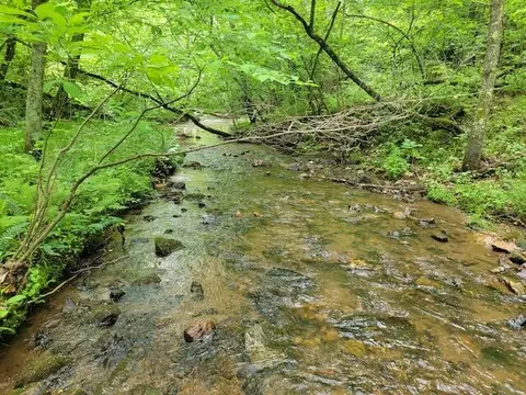 Tbd4 Shortcut Rd, Woolwine, VA 24185 photo 13