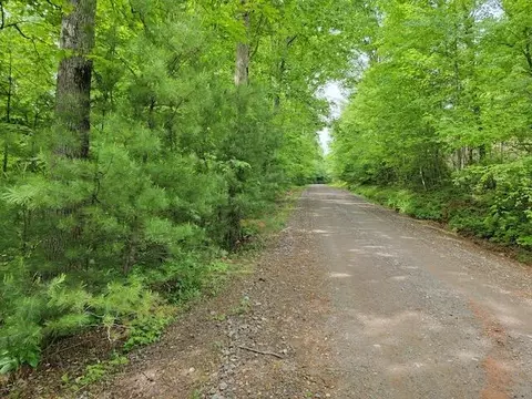 Tbd4 Shortcut Rd, Woolwine, VA 24185