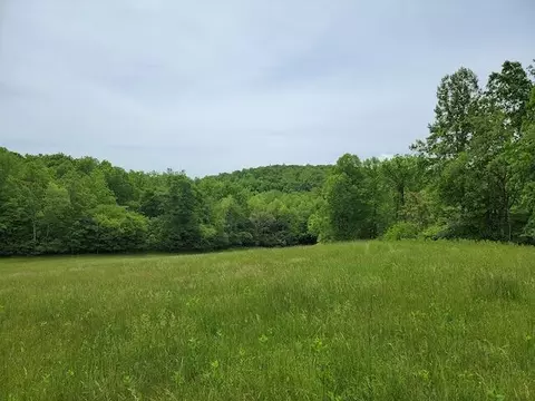 Tbd5 Shortcut Dr, Woolwine, VA 24185 photo 3