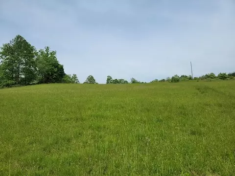 Tbd5 Shortcut Dr, Woolwine, VA 24185 photo 6