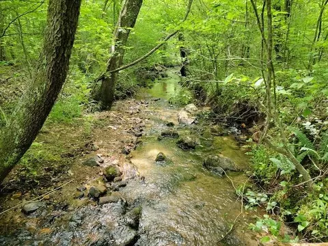 Tbd5 Shortcut Dr, Woolwine, VA 24185 photo 11