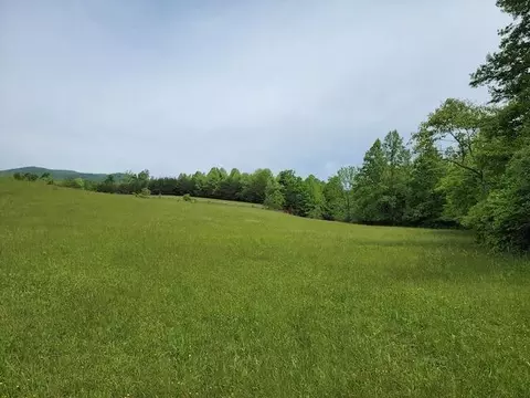 Tbd5 Shortcut Dr, Woolwine, VA 24185 photo 7