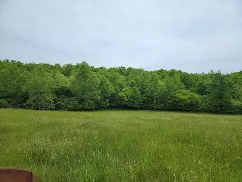 Tbd5 Shortcut Dr, Woolwine, VA 24185 photo 4