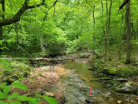 Tbd5 Shortcut Dr, Woolwine, VA 24185 photo 12