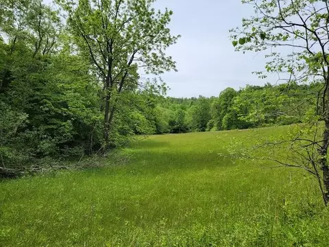 Tbd5 Shortcut Dr, Woolwine, VA 24185