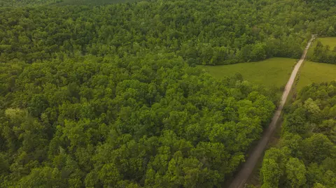 Tbd5 Shortcut Dr, Woolwine, VA 24185 photo 14