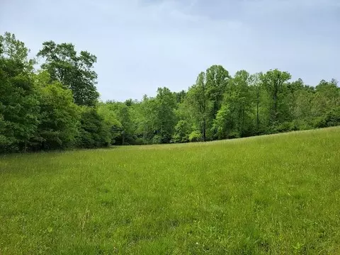 Tbd5 Shortcut Dr, Woolwine, VA 24185 photo 5