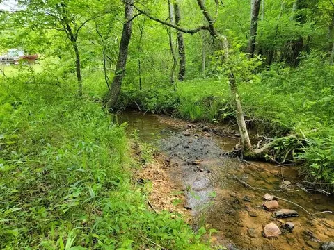 Tbd5 Shortcut Dr, Woolwine, VA 24185 photo 8