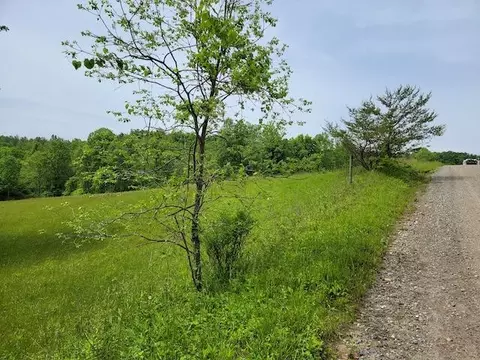 Tbd5 Shortcut Dr, Woolwine, VA 24185 photo 2