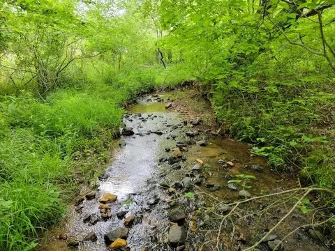 Tbd5 Shortcut Dr, Woolwine, VA 24185 photo 10