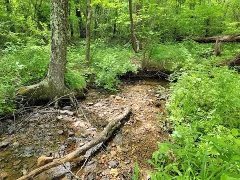 Tbd5 Shortcut Dr, Woolwine, VA 24185 photo 9