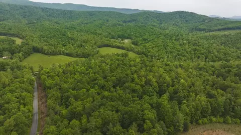 Tbd6 Shortcut Dr, Woolwine, VA 24185 photo 8