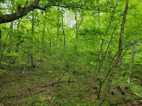 Tbd6 Shortcut Dr, Woolwine, VA 24185 photo 3