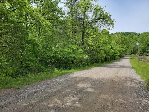 Tbd6 Shortcut Dr, Woolwine, VA 24185 photo 6