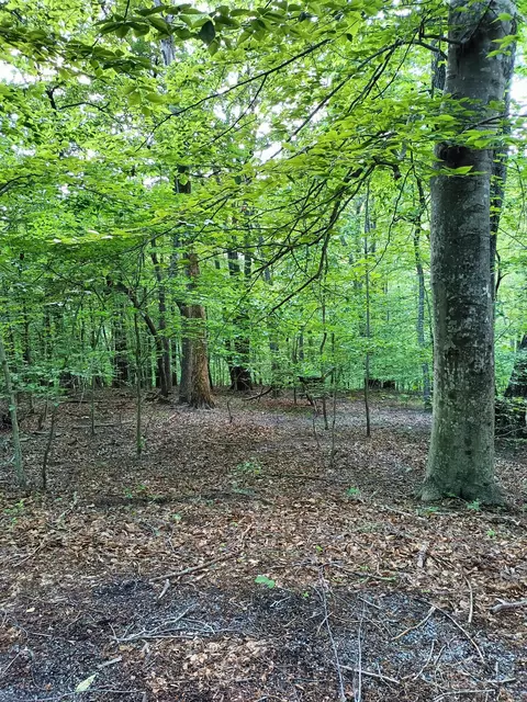 lot41 Old Barn Rd, Moneta, VA 24121