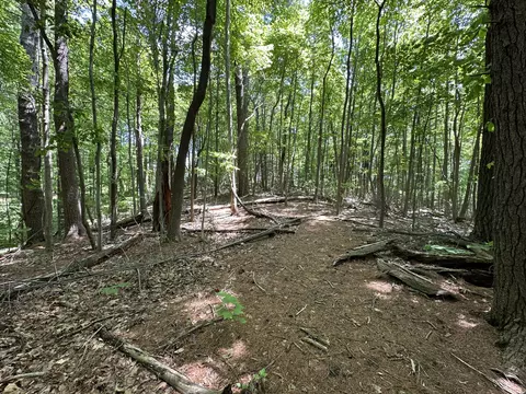 00 Mt Chestnut Rd, Roanoke, VA 24018