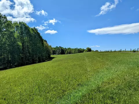 Tbd Pinnacle Ln, Meadows Of Dan, VA 24120