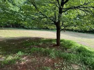 206 Board Mountain Rd, Goodview, VA 24095 photo 14