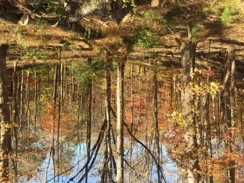 lot21 Catamaran Ln, Moneta, VA 24121