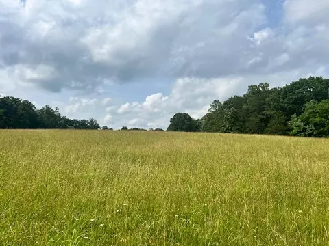 Undisclosed, Axton, VA 24054 photo 51