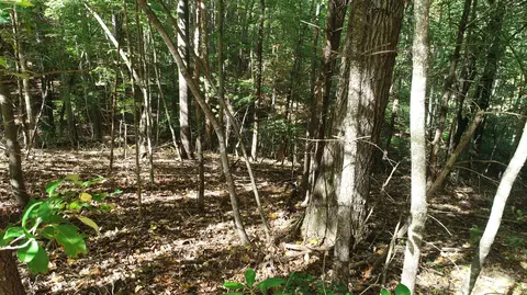 0 Trout Run Dr, Woolwine, VA 24185 photo 10