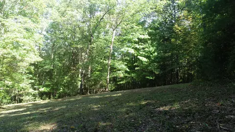 0 Trout Run Dr, Woolwine, VA 24185 photo 12
