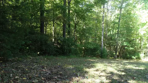 0 Trout Run Dr, Woolwine, VA 24185 photo 13