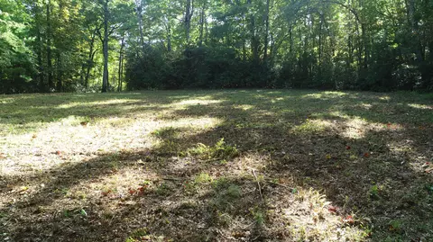 0 Trout Run Dr, Woolwine, VA 24185 photo 11