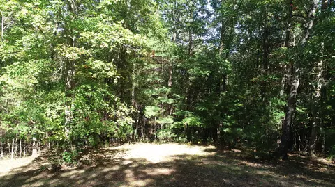 0 Trout Run Dr, Woolwine, VA 24185 photo 4