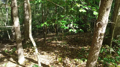 0 Trout Run Dr, Woolwine, VA 24185 photo 9