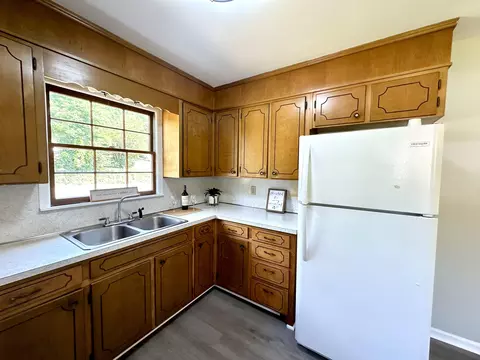 917 E Dolly Ann Dr, Covington, VA 24426 photo 7
