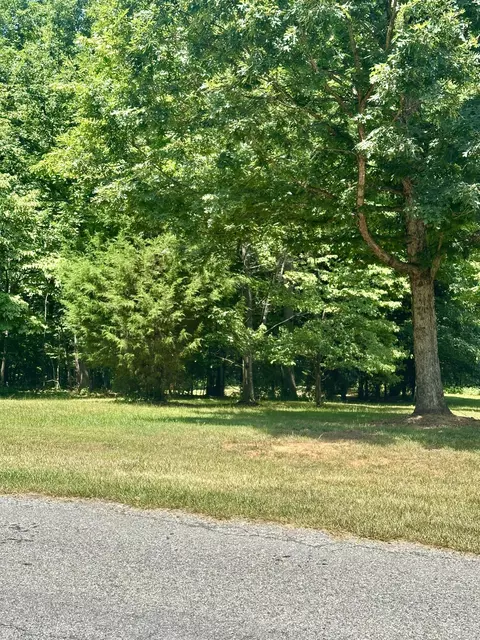 0 Macgregor Dr, Blue Ridge, VA 24064 photo 3