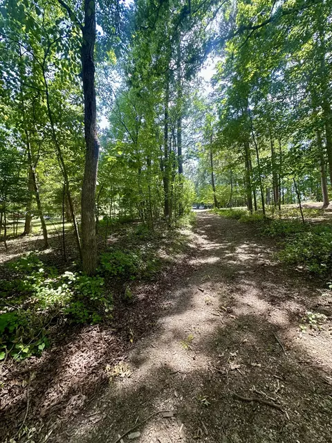 0 Macgregor Dr, Blue Ridge, VA 24064 photo 6