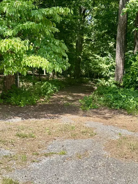 0 Macgregor Dr, Blue Ridge, VA 24064 photo 5