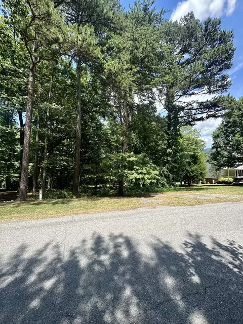 0 Macgregor Dr, Blue Ridge, VA 24064 photo 4
