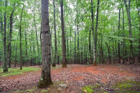 50 Boulder Point Dr, Hardy, VA 24101 photo 28