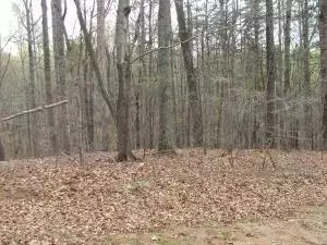 lot32 Scruggs Rd, Moneta, VA 24121