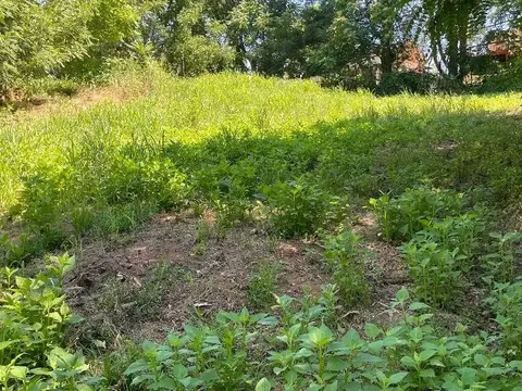 1806 Hardy Rd, Vinton, VA 24179