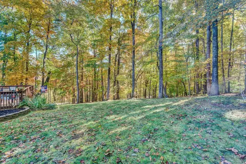 236 Dillard Ln, Rocky Mount, VA 24151 photo 36