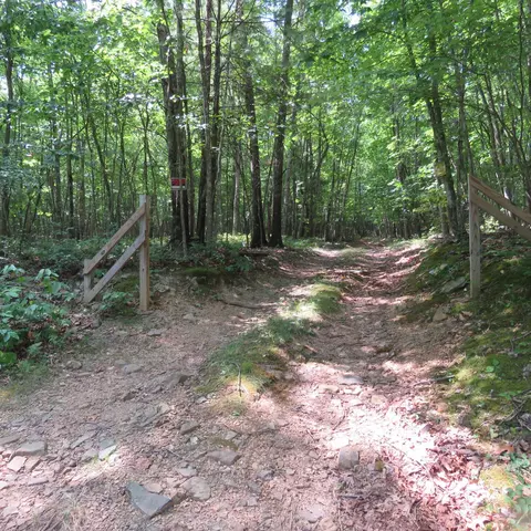 7 White Oak Ln, New Castle, VA 24127