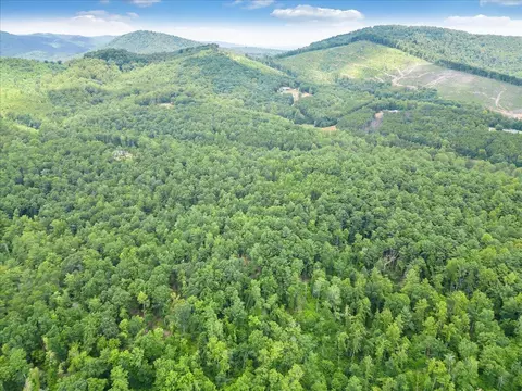 Tract D Gatewood Ln, Ferrum, VA 24088