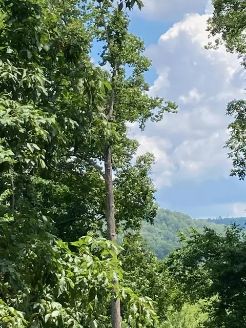0 Ridgefield Ln, Ferrum, VA 24088 photo 3