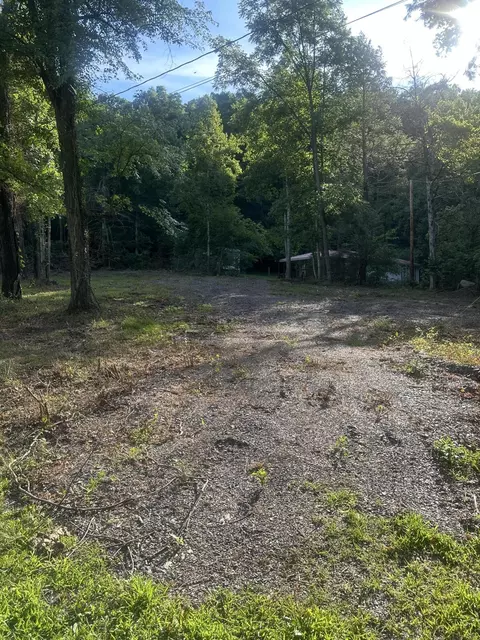 00 Cabin Hollow Rd, Eagle Rock, VA 24085