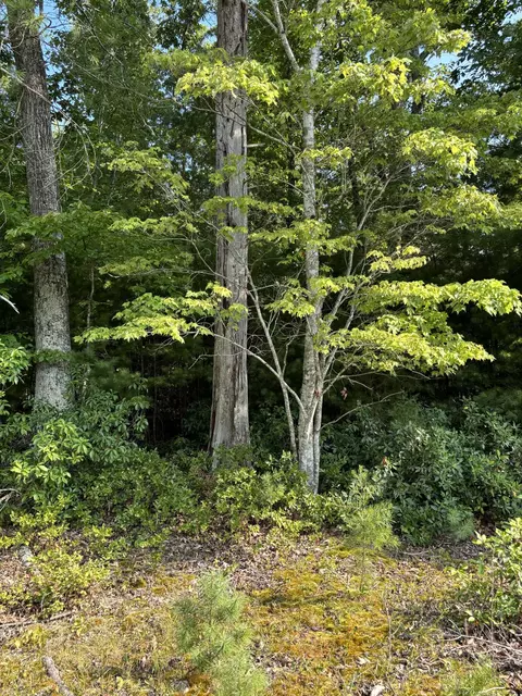lot4 White Oak Rd, Boones Mill, VA 24065