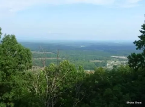 lot11 Saddleback Trl, Hardy, VA 24101