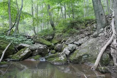0 Wolf Creek Rd, Narrows, VA 24124